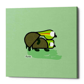 'Furtle' by Chuck Wimmer, Canvas Wall Art