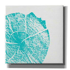 'Aqua Slice' by Linda Woods, Canvas Wall Art