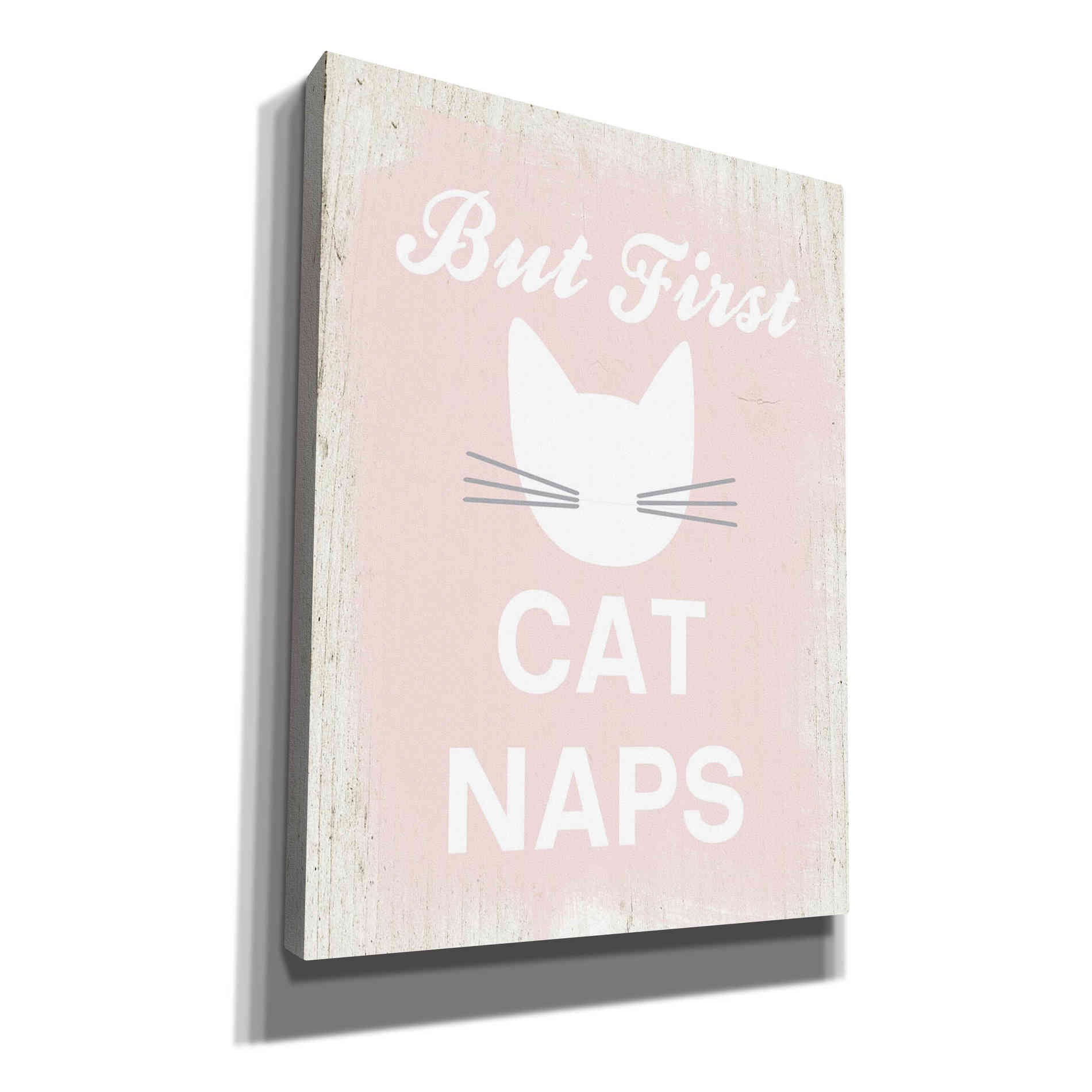 'But First Cat Naps' by Linda Woods, Canvas Wall Art