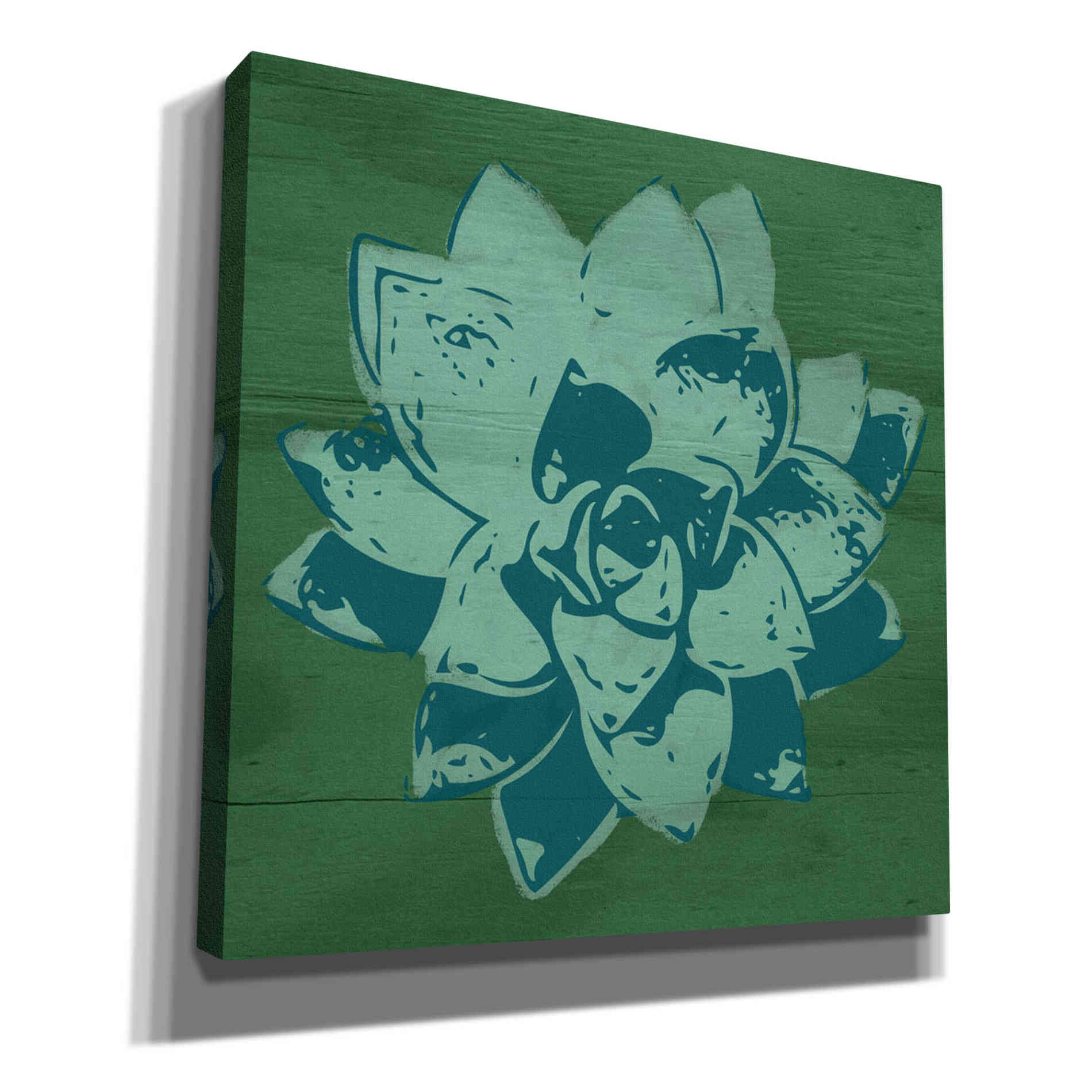 'Boho Succulent Green' by Linda Woods, Canvas Wall Art