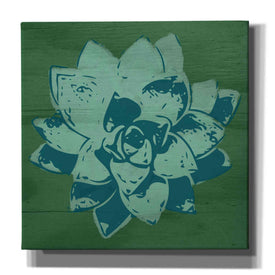 'Boho Succulent Green' by Linda Woods, Canvas Wall Art
