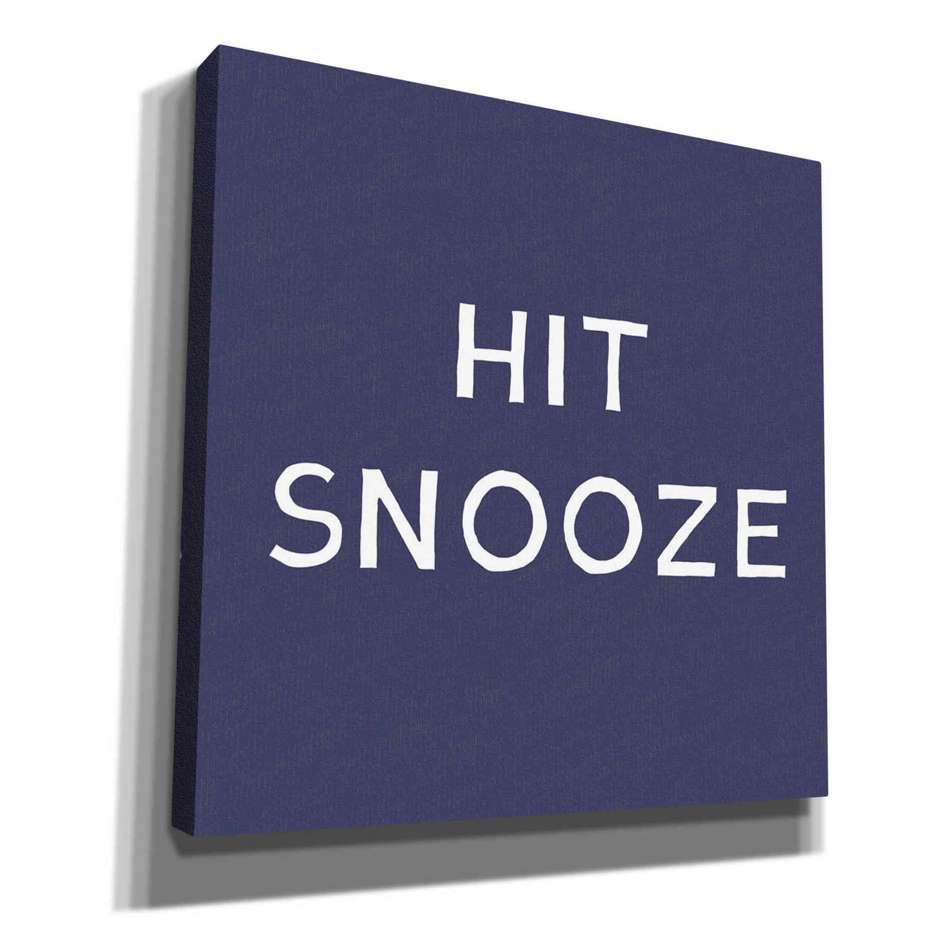 'Hit Snooze' by Linda Woods, Canvas Wall Art