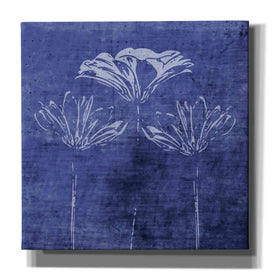 'Indigo Wild Flowers' by Linda Woods, Canvas Wall Art