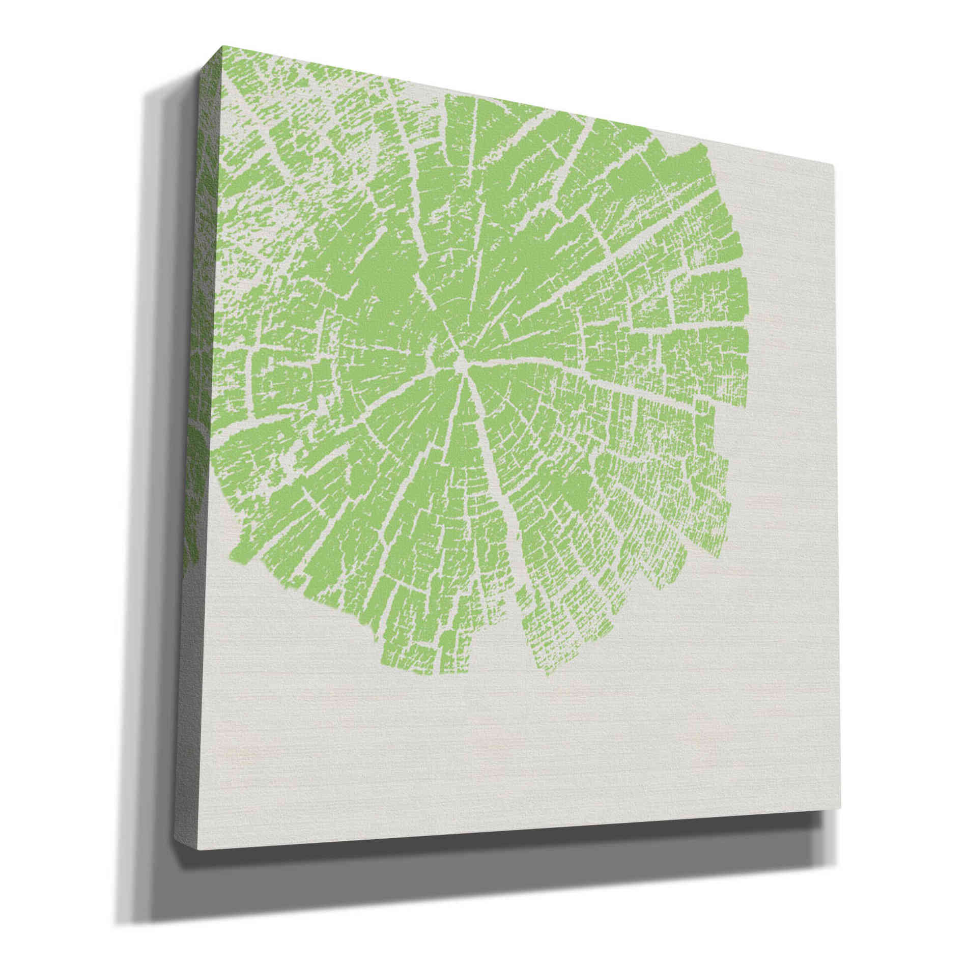 'Lime Slice' by Linda Woods, Canvas Wall Art