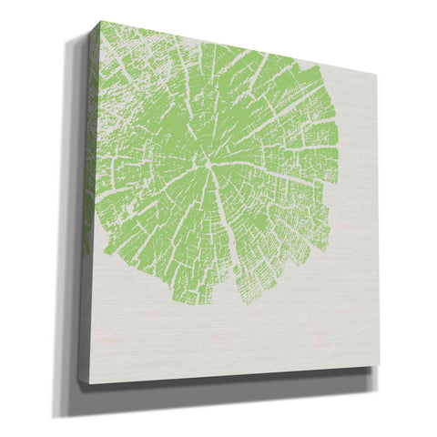 Image of 'Lime Slice' by Linda Woods, Canvas Wall Art