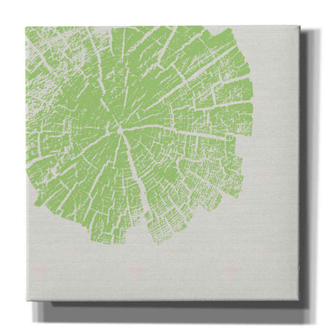 Image of 'Lime Slice' by Linda Woods, Canvas Wall Art