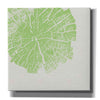 'Lime Slice' by Linda Woods, Canvas Wall Art