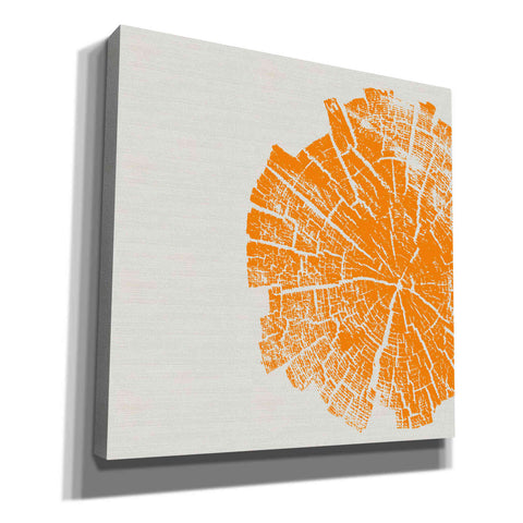 Image of 'Orange Slice' by Linda Woods, Canvas Wall Art