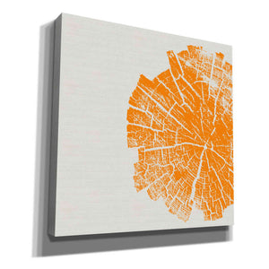 'Orange Slice' by Linda Woods, Canvas Wall Art