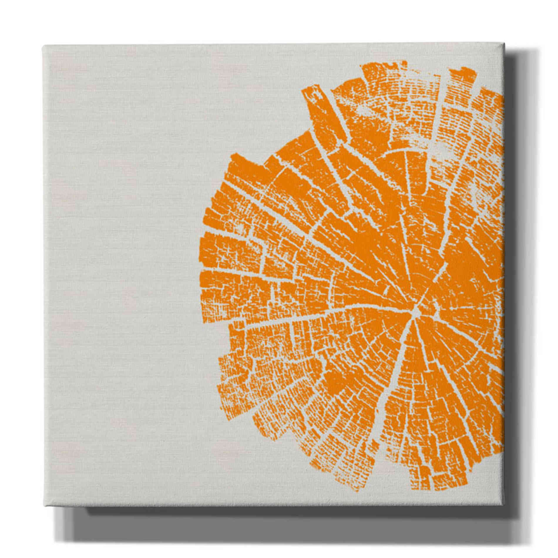 'Orange Slice' by Linda Woods, Canvas Wall Art