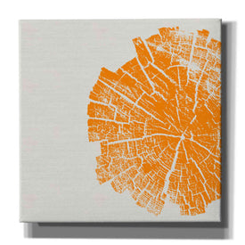 'Orange Slice' by Linda Woods, Canvas Wall Art