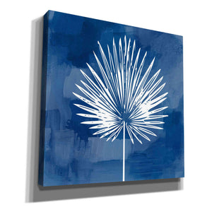 'Painted Sky Palm Leaf' by Linda Woods, Canvas Wall Art