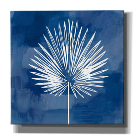 'Painted Sky Palm Leaf' by Linda Woods, Canvas Wall Art
