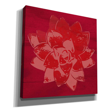 Image of 'Boho Succulent Red' by Linda Woods, Canvas Wall Art