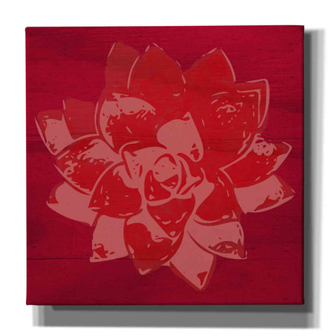 Image of 'Boho Succulent Red' by Linda Woods, Canvas Wall Art