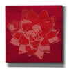 'Boho Succulent Red' by Linda Woods, Canvas Wall Art