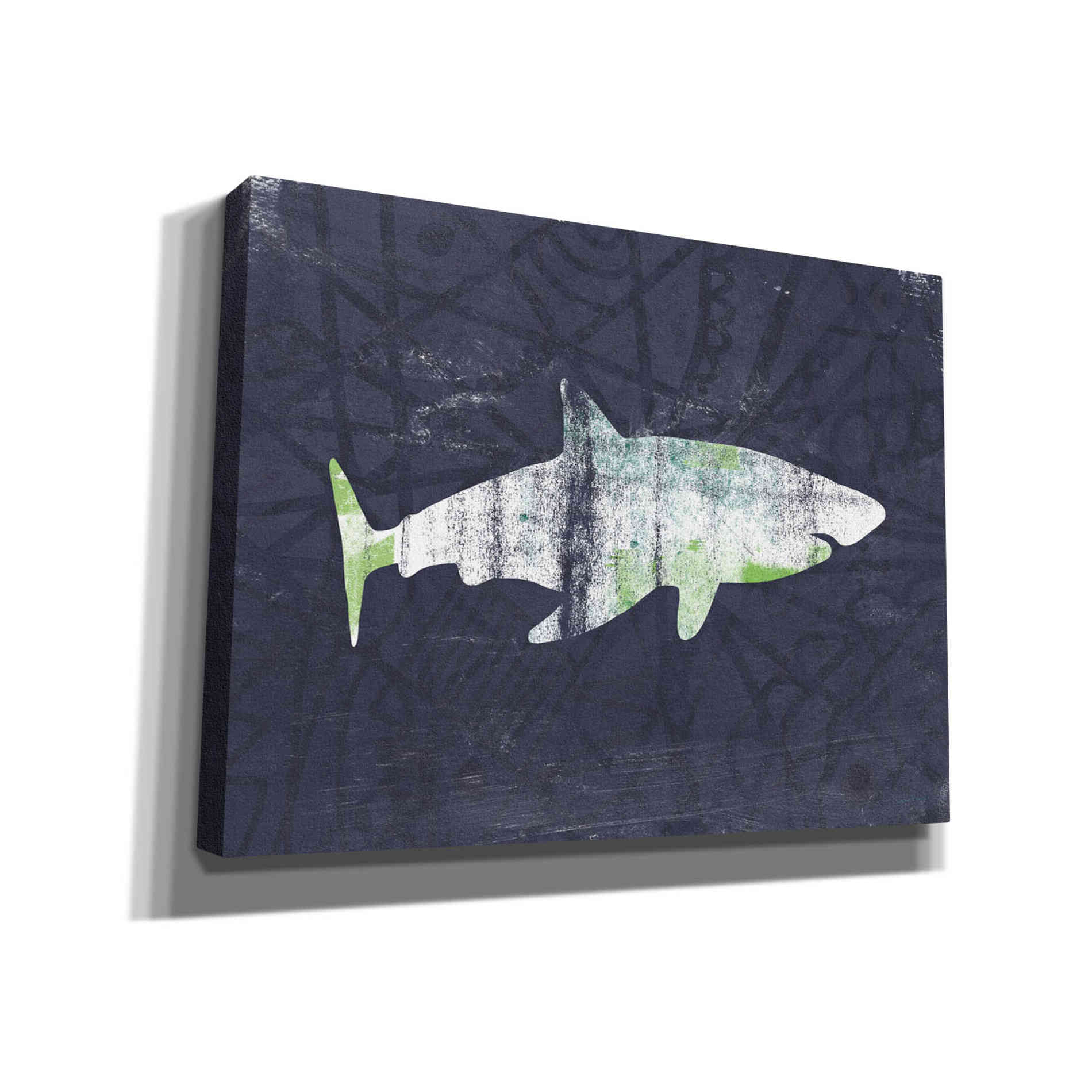 'Shark I' by Linda Woods, Canvas Wall Art