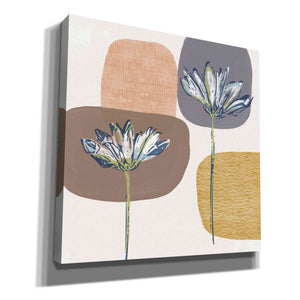 'Soft Floral I' by Linda Woods, Canvas Wall Art
