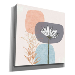 'Soft Floral II' by Linda Woods, Canvas Wall Art