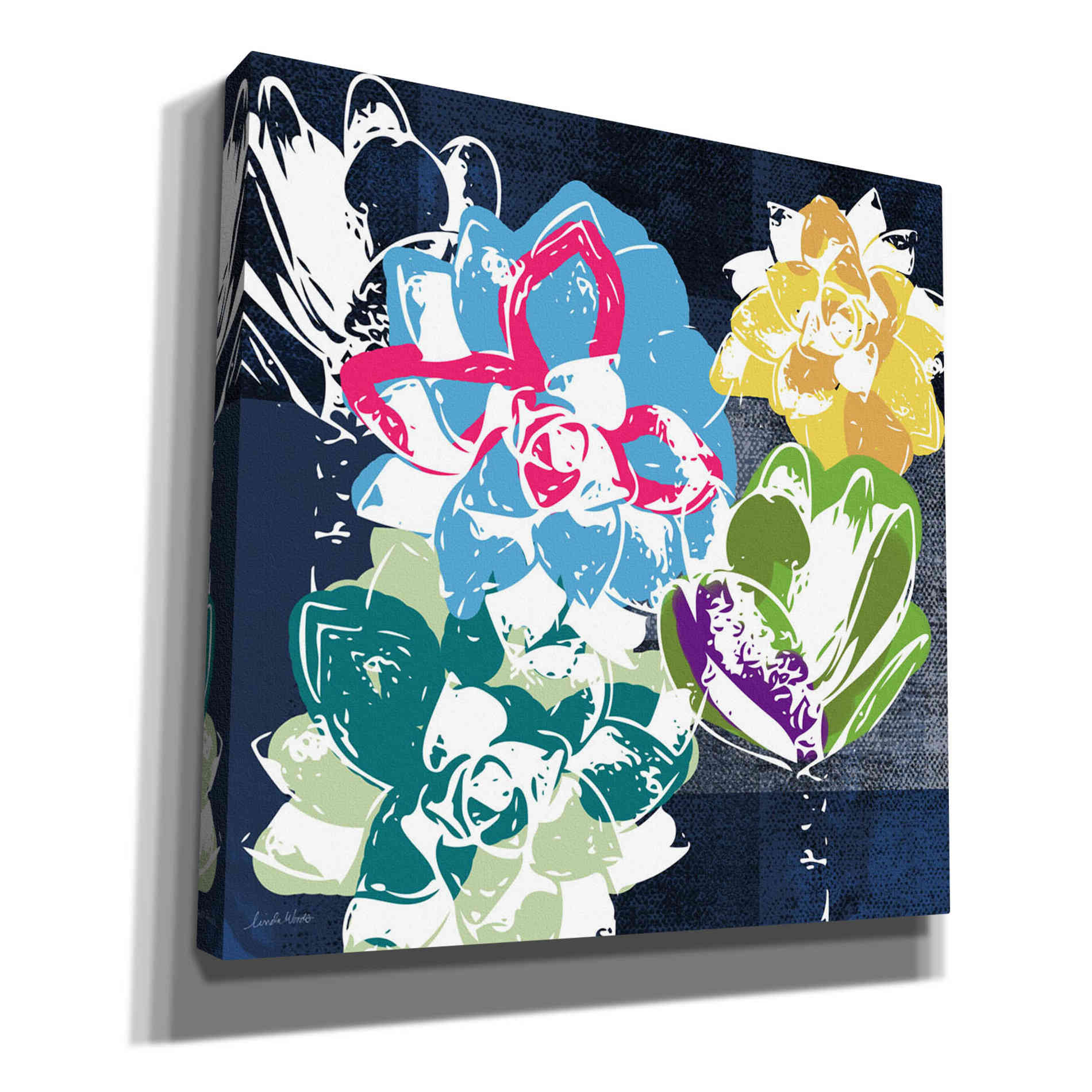 'Colorful Succulents II' by Linda Woods, Canvas Wall Art