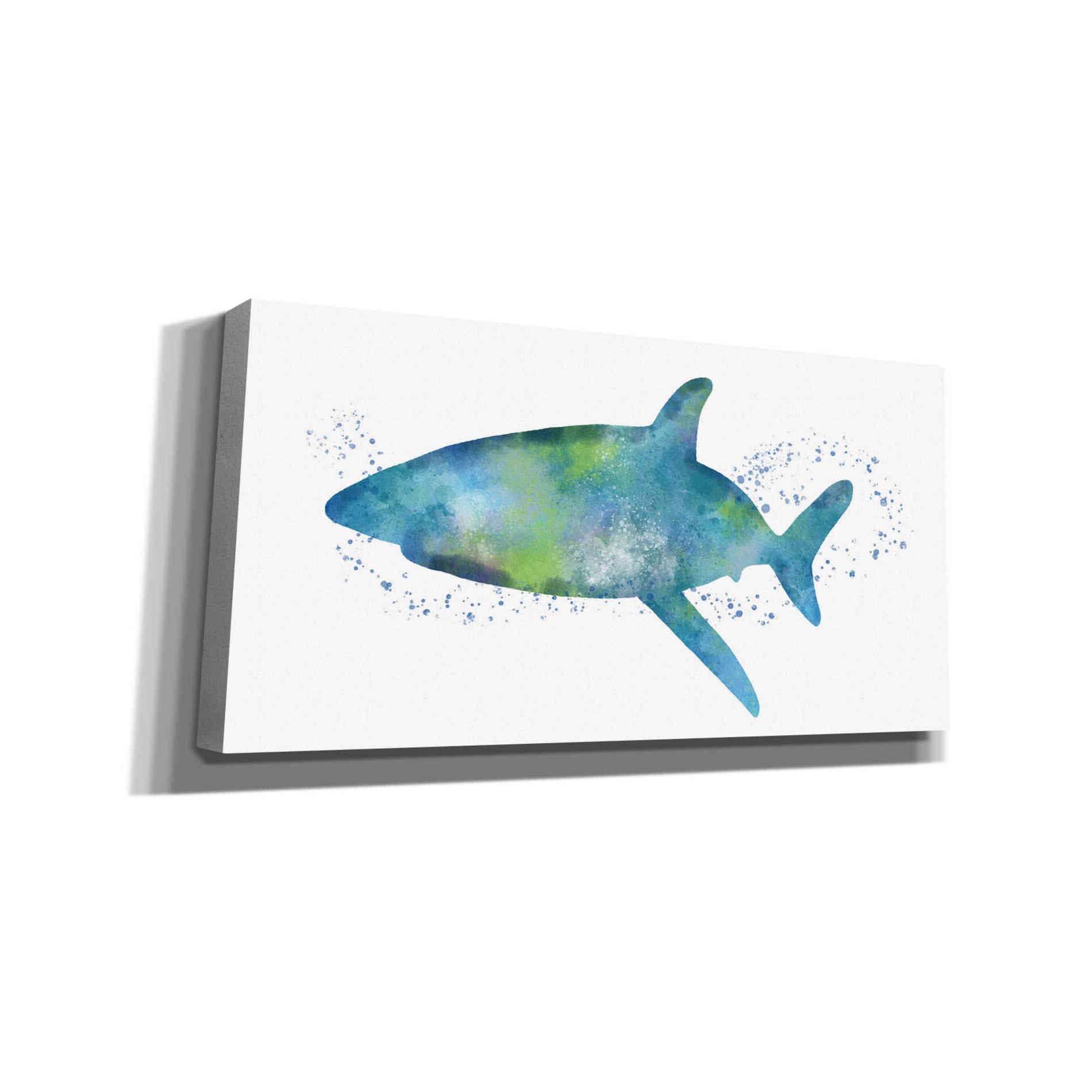 'Watercolor Shark I' by Linda Woods, Canvas Wall Art
