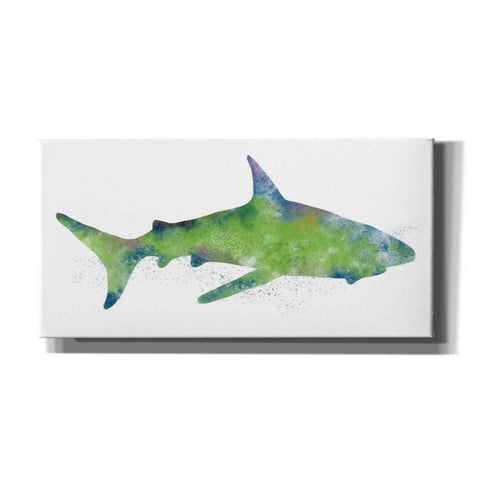 Image of 'Watercolor Shark II' by Linda Woods, Canvas Wall Art