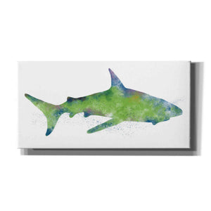 'Watercolor Shark II' by Linda Woods, Canvas Wall Art