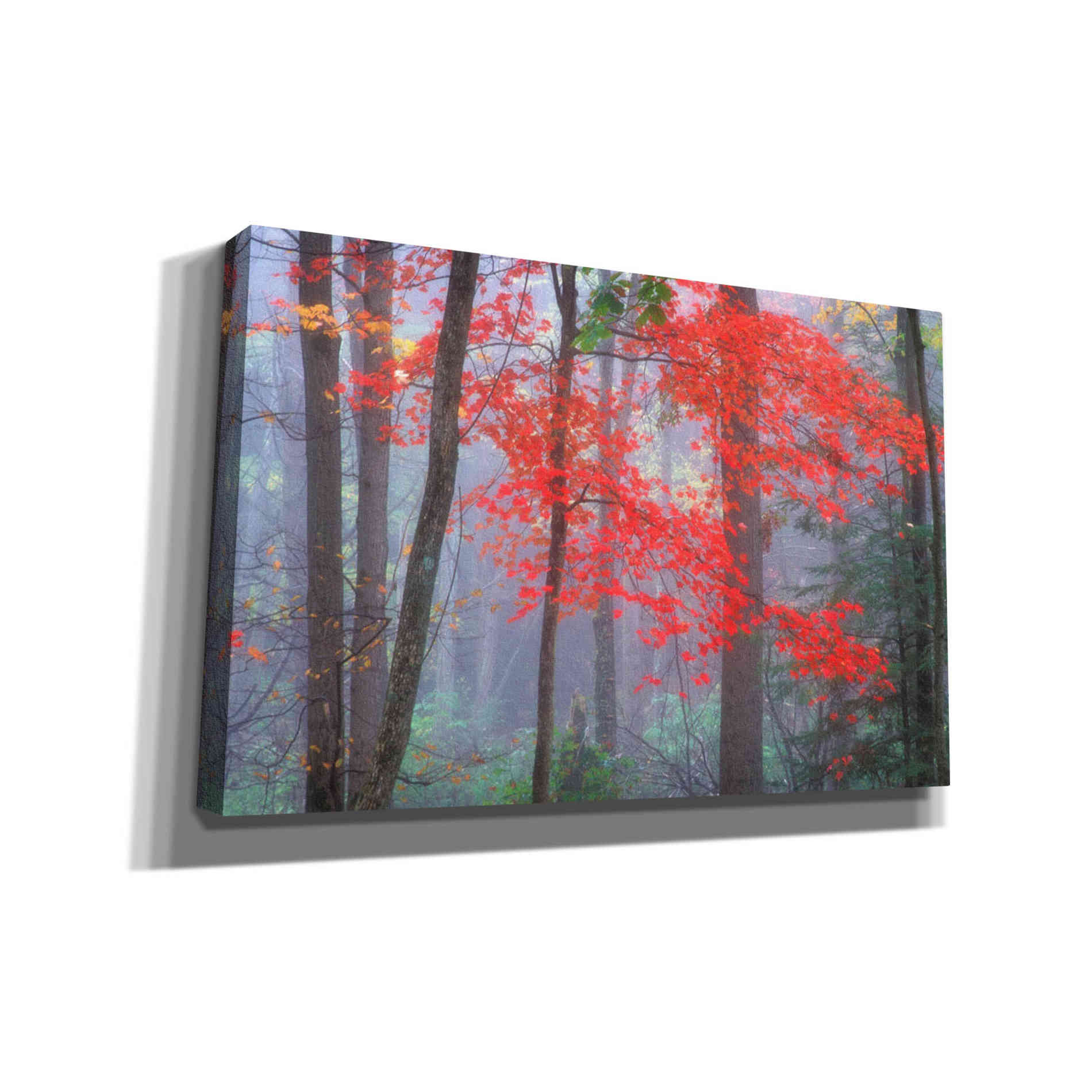 'Splash of Red' by Patrick Zephyr, Canvas Wall Art,Size A Landscape