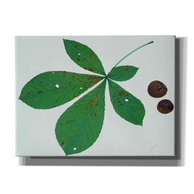 'Horse Chestnut' by Zigen Tanabe, Giclee Canvas Wall Art