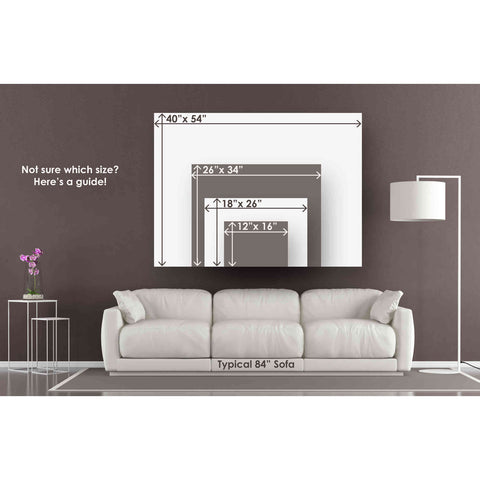Image of "'Through The Mist' Canvas Wall Art"